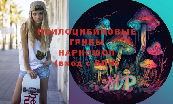 прущий лед Алзамай
