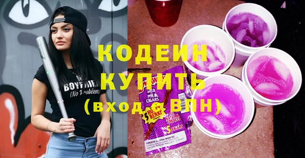 прущий лед Алзамай