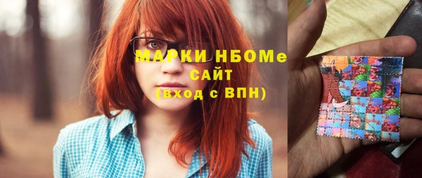 прущий лед Алзамай