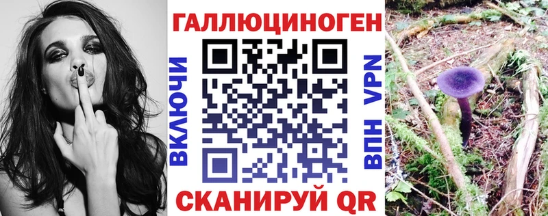 мега сайт Юрьев-Польский Псилоцибиновые грибы GOLDEN TEACHER